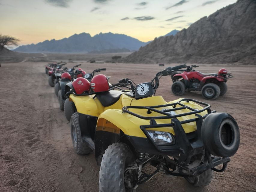 Sharm El Sheikh: ATV, Bedouin Tent With BBQ Dinner and Show - Good To Know