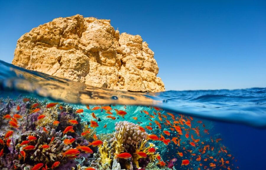 Sharm El Sheikh: Colored Canyon, Blue Hole & Dahab Day Trip - Good To Know