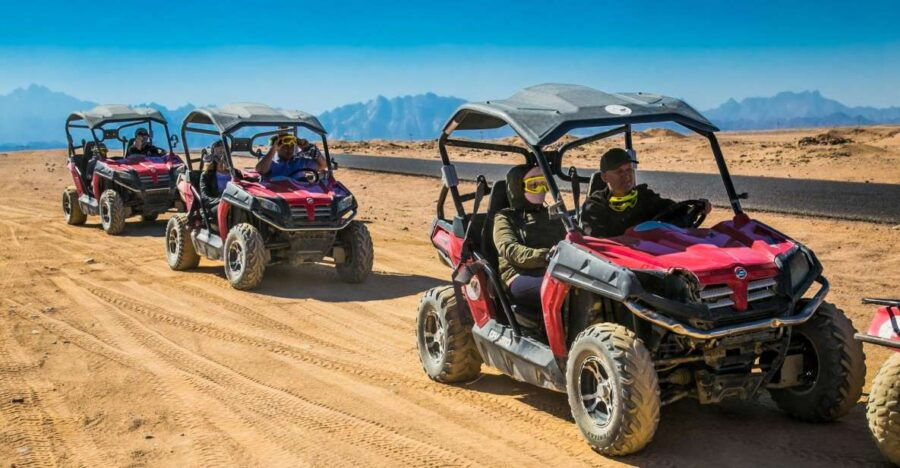 Sharm El Sheikh: Dune Buggy, Horse & Camel Ride W Breakfast - Good To Know