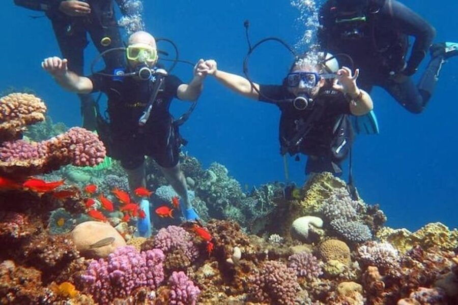 Sharm El-Sheikh: Parasailing, Camel Ride, Dive & Quad Bike