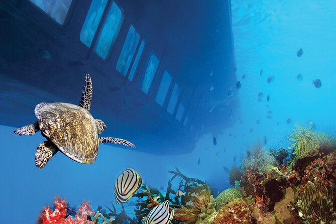 Sharm El-Sheikh: Royal Seascope Submarine Cruise in With Pickup - Good To Know