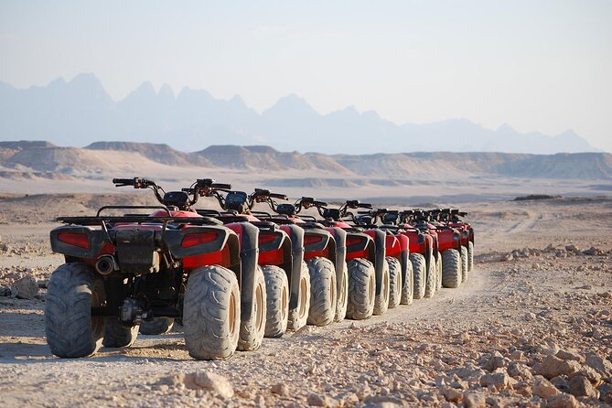 Sharm El Sheikh Super Safari 5*1 ATV Quad, Stargazing,Camel Ride,Dinner, Shows