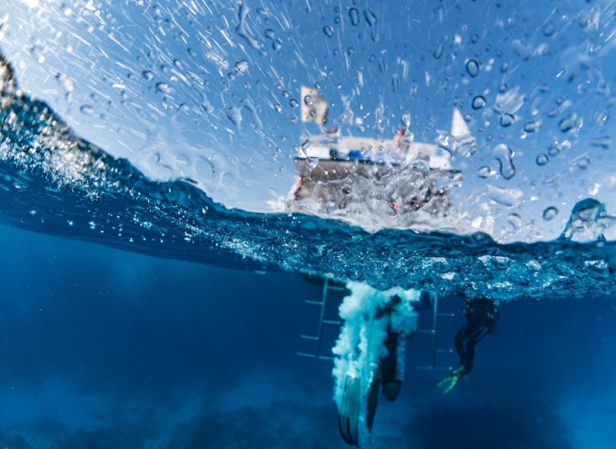 Sharm El Sheikh: Tiran Island Cruise Tour With Intro Dive - Good To Know