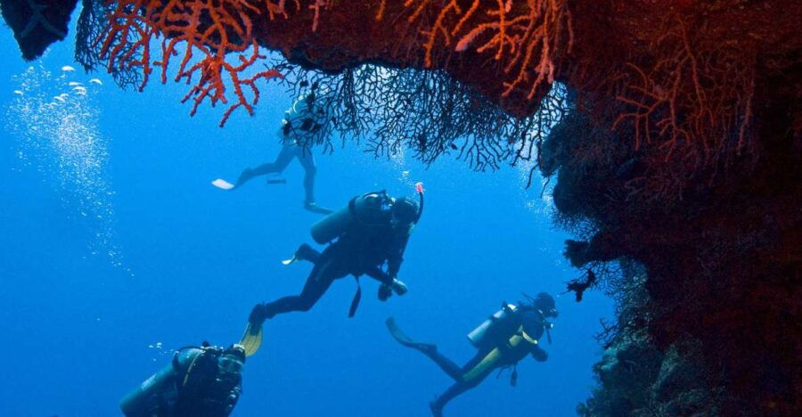 Sharm El-Sheikh: White Island & Ras Mohammed Snorkel Trip - Good To Know