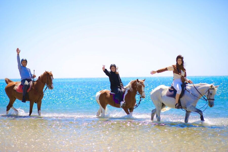 Sharm El Shiekh: Beach and Desert Horse Riding Tour - Good To Know