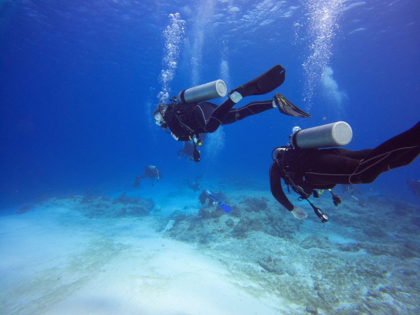 Sharm: Ras Mohamed Diving Boat Trip With Private Transfers