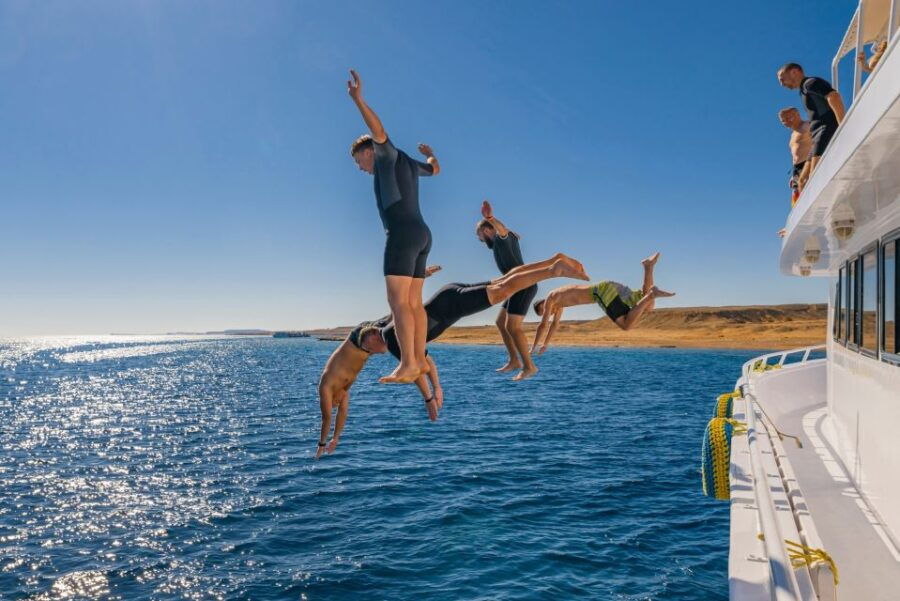 Sharm: White Island and Ras Mohamed With Private Transfers - Good To Know