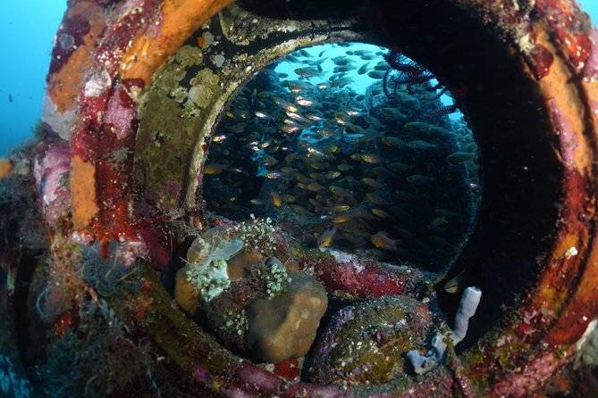 Shipwreck Diving in Tulamben