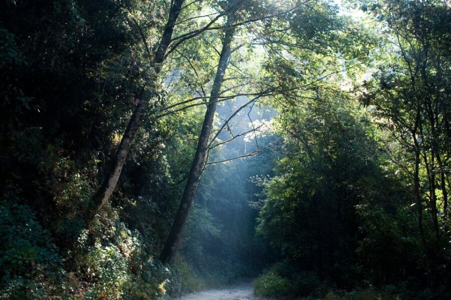 Shivapuri Hike - Kathmandu Valley Hike - Good To Know