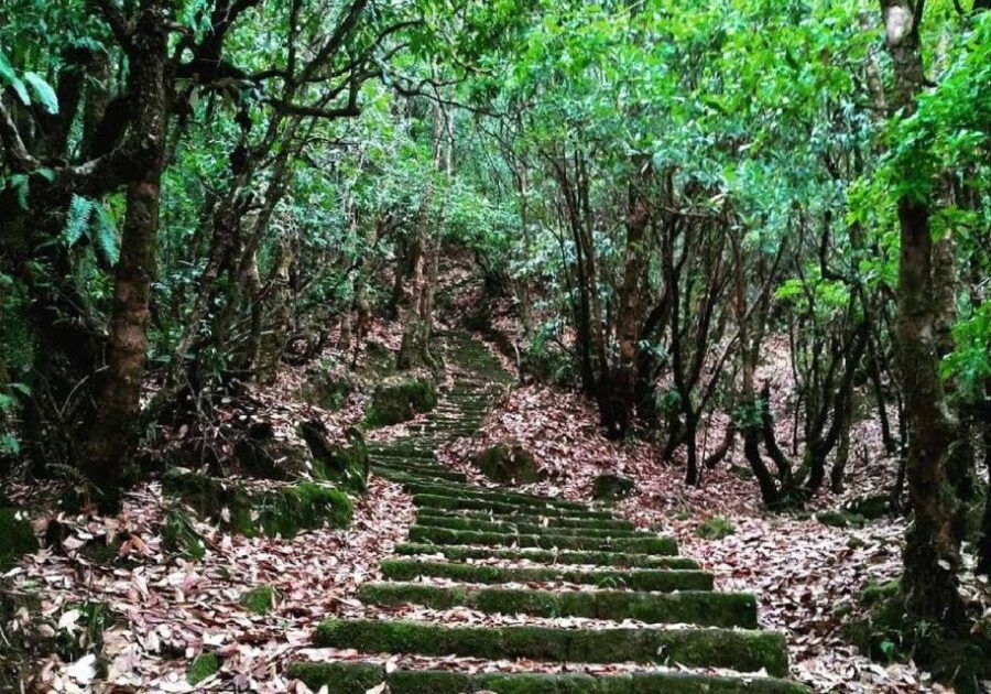 Shivapuri-Nagarjun Hiking - Good To Know