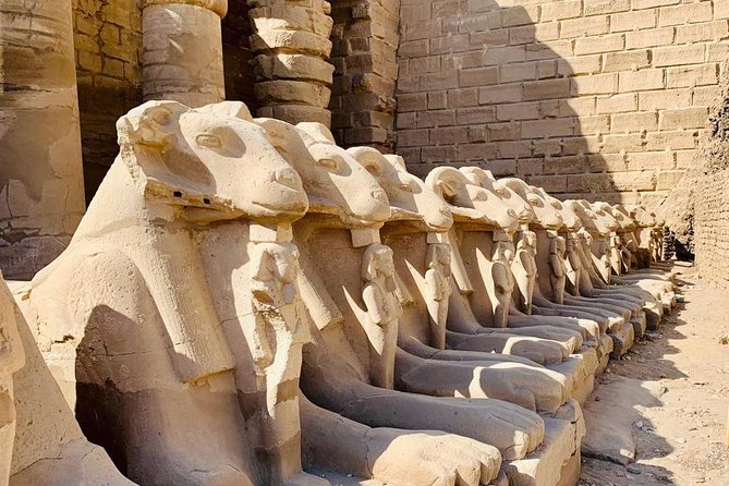 Shore Excursion: Full Day Private Tour To Luxor From Safaga Port - Good To Know