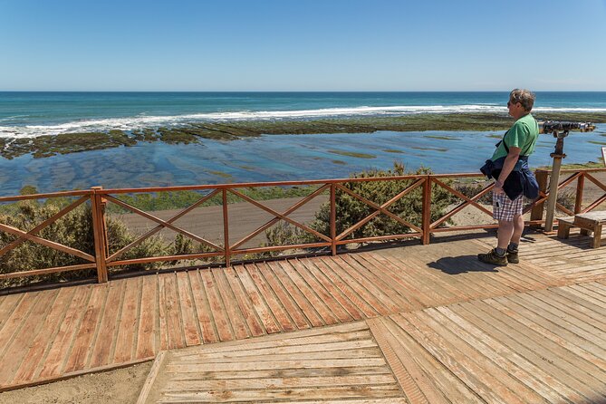 Shore Excursion Peninsula Valdes or Punta Tombo - Private Car - Good To Know