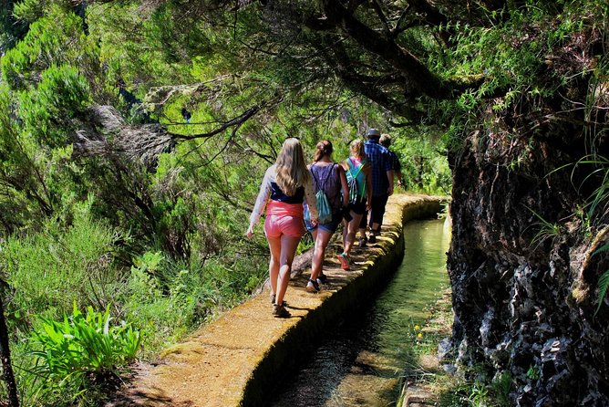 Shore Excursion Porto Moniz – Enchanted Terraces 4×4 Tour