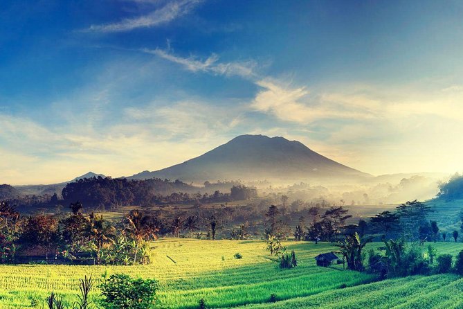 Shore Excursion : Private Tours to Ubud Art Village and Surrounding Area