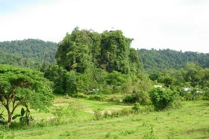 Shore Excursion Puerto Princesa Underground River Tour UNESCO