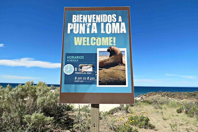 Shore Excursion Punta Loma Sea Lions Reserve Including Puerto Madryn City Tour - Good To Know