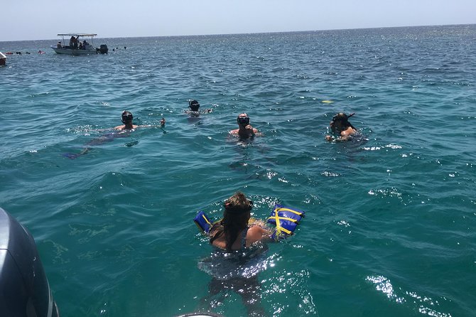 Shore Excursion: Roatan Monkey and Sloth Park and Snorkel - Good To Know