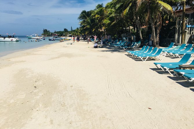 Shore Excursion: Roatan Wildlife Monkey/Sloths,Iguana & Butterfly Park & Beach - Tour Highlights