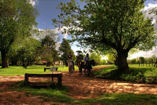 Shore Excursion: Small Group Estancia Tour to San Antonio De Areco - Good To Know
