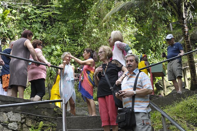 Short Annandale Waterfall and Fort Frederick Tour  – Grenada