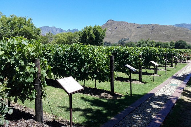 Short Private Wine Tour - Good To Know