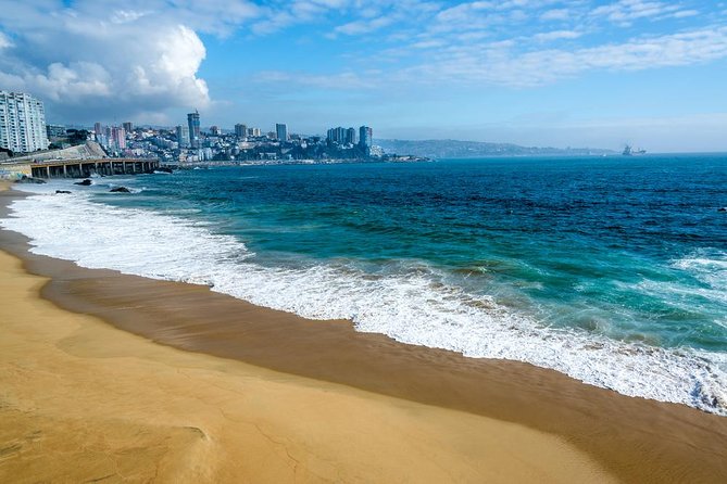 SIB Viña Del Mar and Valparaiso Day Trip From Santiago - Good To Know