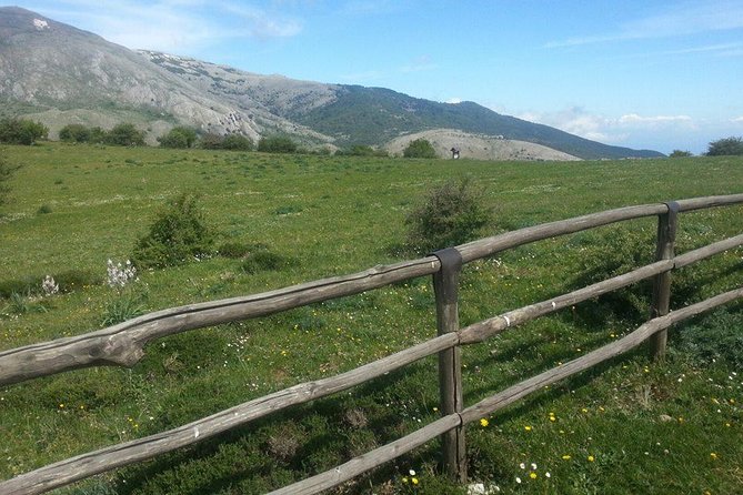 Sicilian Villages & Ricotta Tasting - Including Lunch From Cefalu - Good To Know