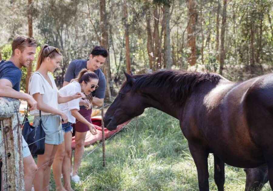 Side: Horseback Riding Experience With Instructor - Good To Know