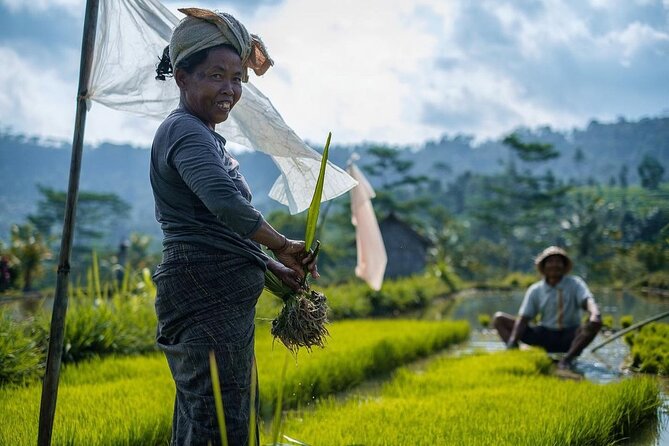 Sidemen Trekking With a Close View of Mt Agung - Good To Know