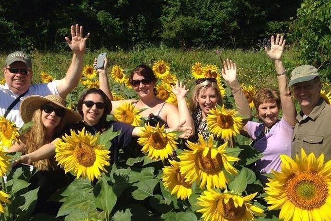 Siena & Tuscany - Good To Know