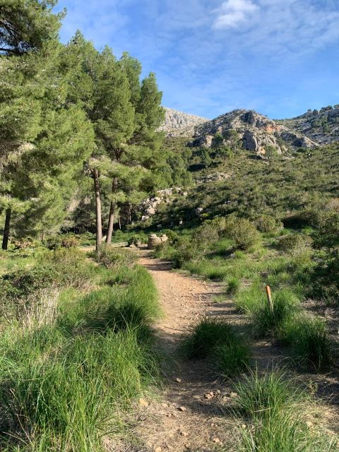 Sierra De Tramuntana Hiking Experience - Good To Know