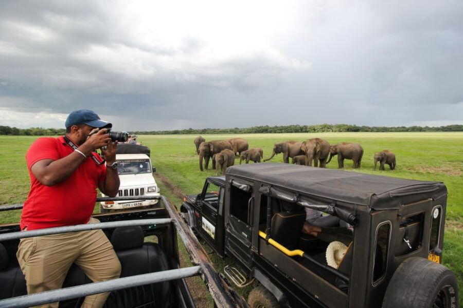 Sigiriya and Dambulla Day Trip From Colombo or Negombo