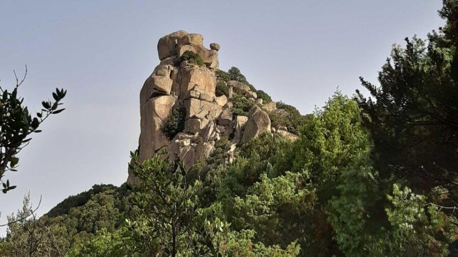Sinnai: Hiking on the Deers’ Trail in Sette Fratelli Park