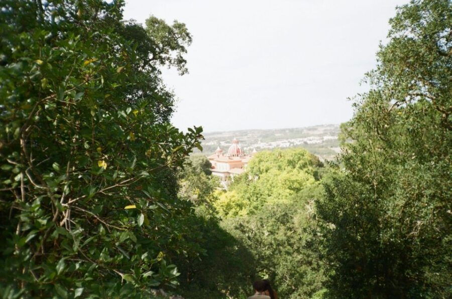 Sintra: Full Day Guided Tours by Van With Local Guide