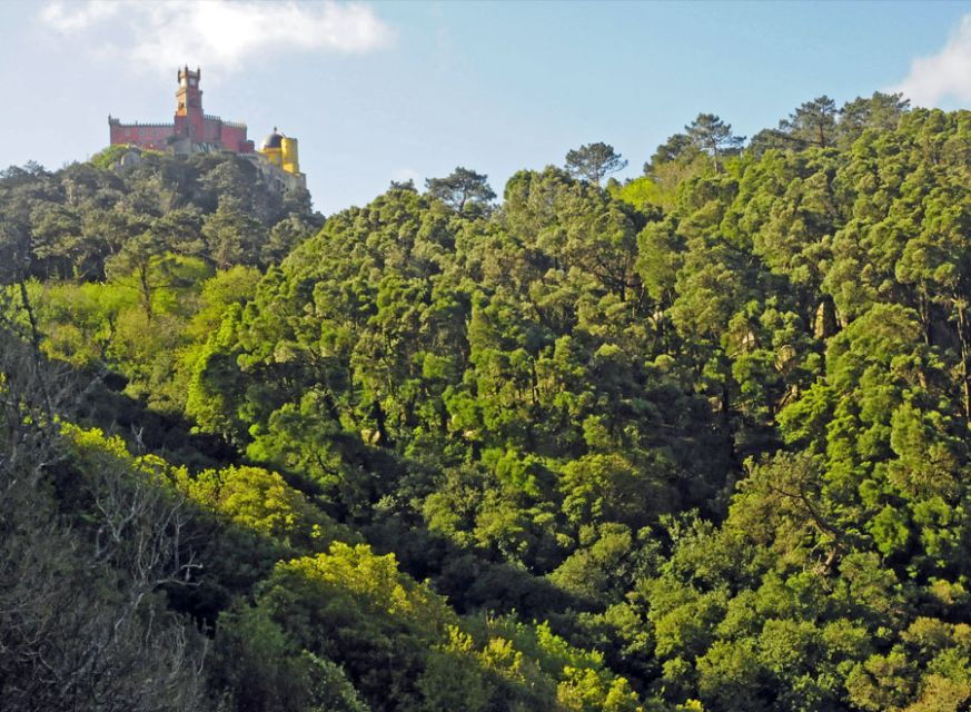 Sintra: Half Day Trekking Tour - Activity Details