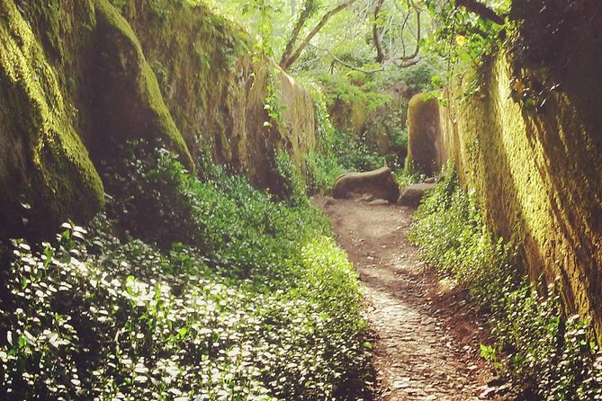 Sintra, Kingdom of Love" - Private Day Walk - Good To Know