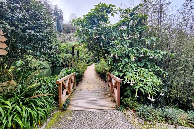 Sintras Private Walking Tour: Regaleira and Biester Palace