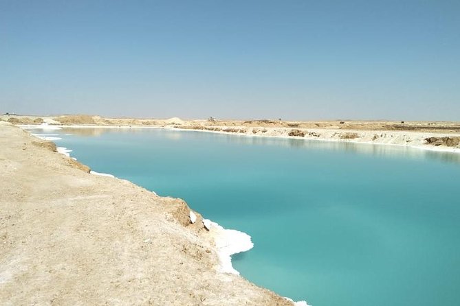 Siwa and El Alamein Private Tour - Good To Know