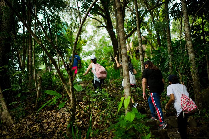 Skip the Line: Hike Eat Swim at Mount Purro Nature Reserve Ticket - Good To Know