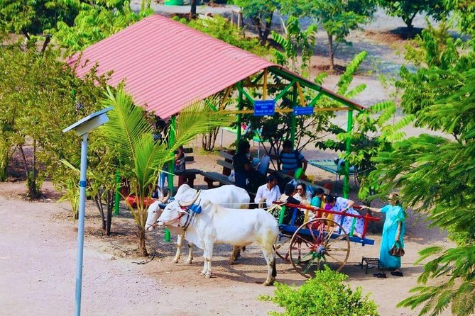 Skip the Line: Meher Retreat Day Picnic Ticket, Near Pune - Good To Know