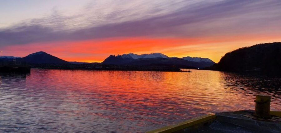 Skjervøy: Fjord Charter Adventure