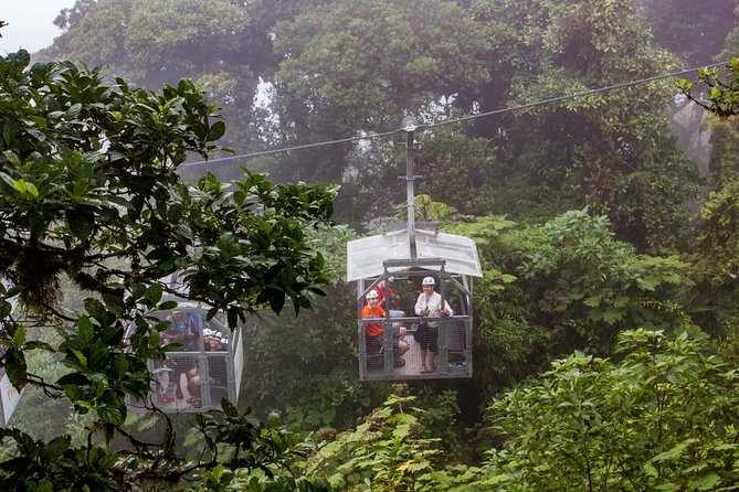 Sky Walk- Sky Tram & Sky Trek Zipline From Monteverde - Good To Know