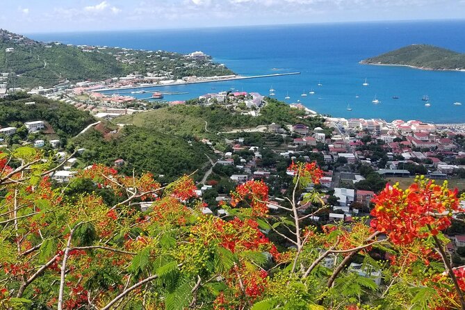 Skyline Drive Lookout and Beach Hopping