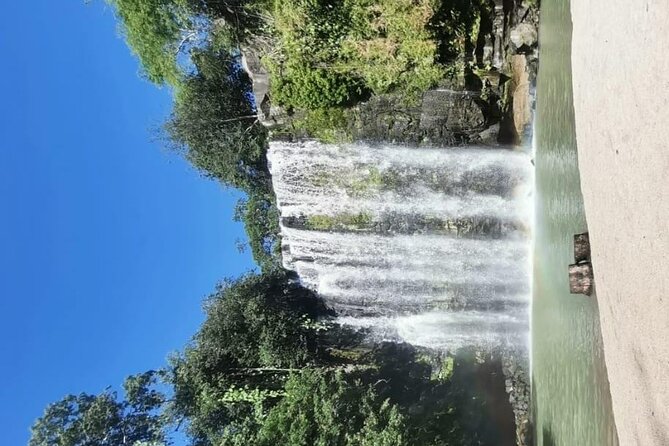 Sloth Forest, Coffee and Chocolate and Waterfall Tour