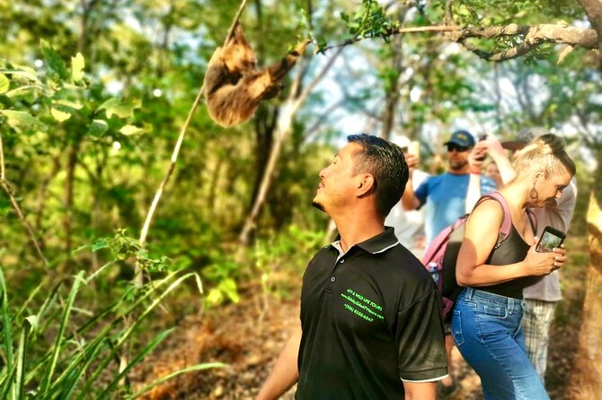 Sloth Sanctuary WildLife Hike
