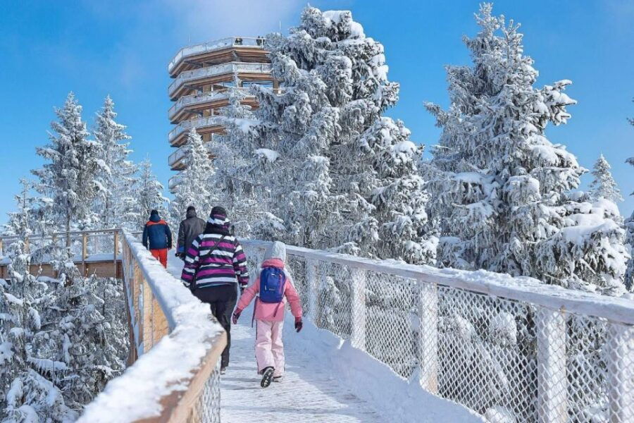 Slovakia: Treetop Walk & Thermal Baths From Krakow - Good To Know
