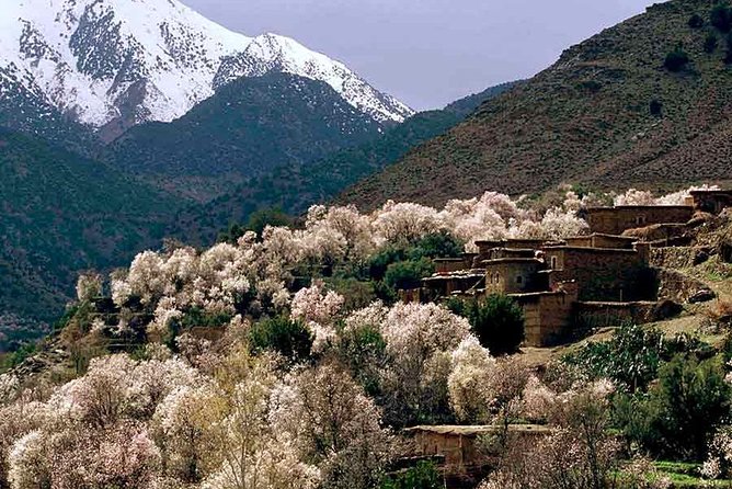 Small Group Day Tour to Ourika Valley From Marrakech - Good To Know