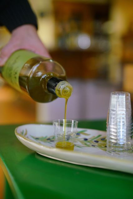 Small Group: From Florence: Olive Oil & Wine Tasting Tour