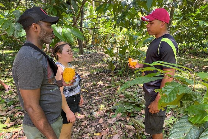 Small-Group Half-Day Indigenous Reserve Cacao & Waterfall Tour - Limon