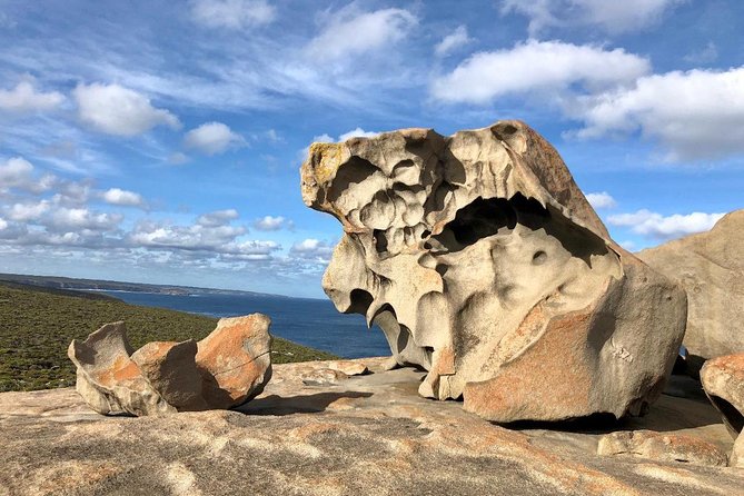 Small Group Kangaroo Island Tour – Flinders Chase